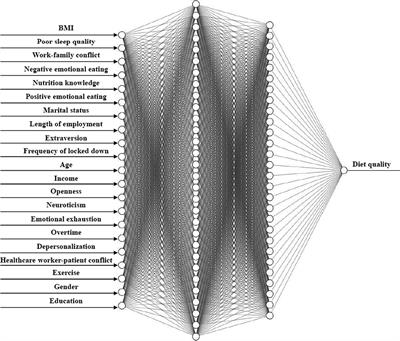 Deep neural network for prediction of diet quality among doctors and nurses in North China during the COVID-19 pandemic